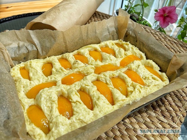Быстро-вкусно: пирог на сметане с персиками