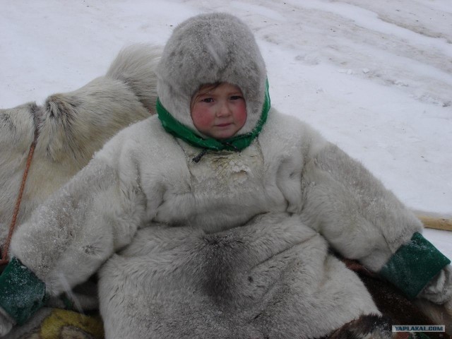 встреча на дороге