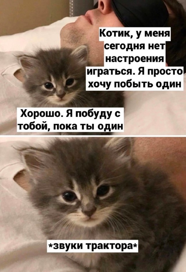 Так себе картинки 06.06.22