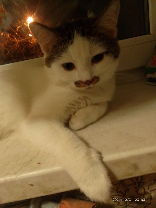 Кот д’Ивуар