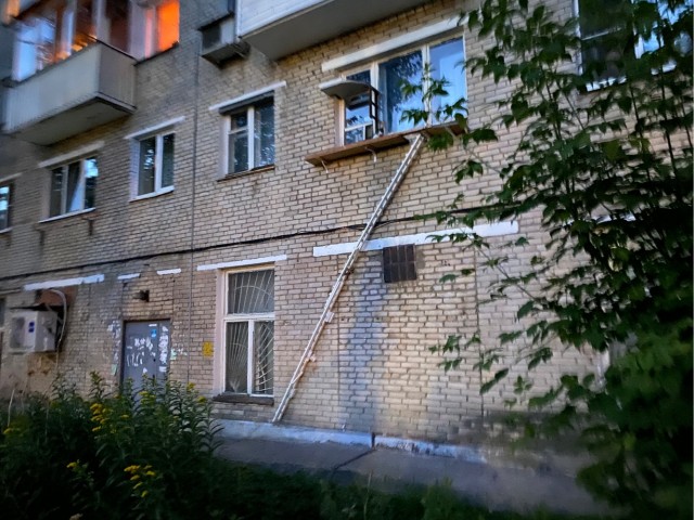 Про любовь к котикам