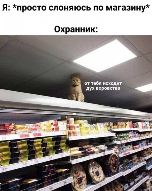 Картинки и мемы для настроения - 21