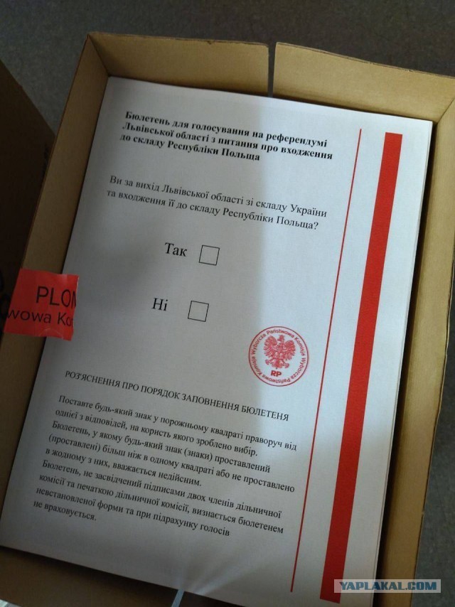 Первые итоги референдумов