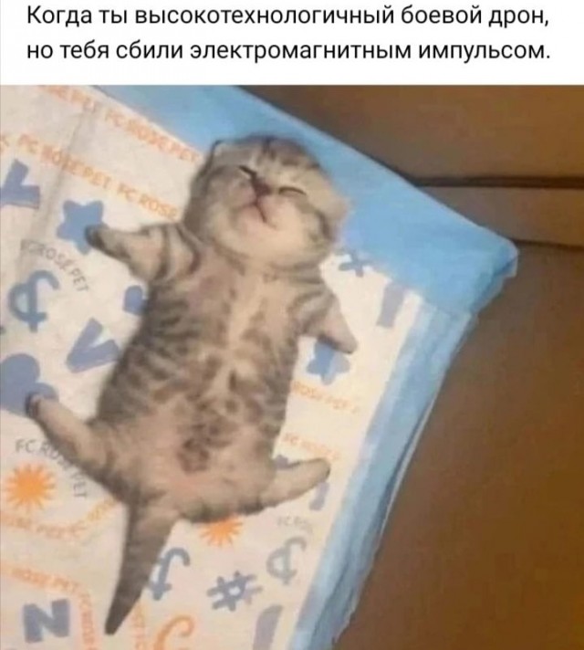 Квадроцараптер
