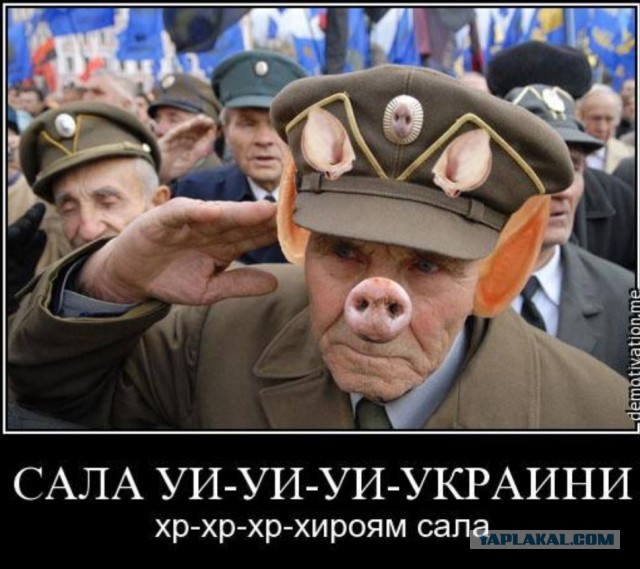 А кто ещё отбирал кровь у детей на нужды армии?