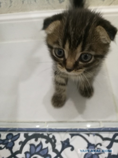 Было - стало