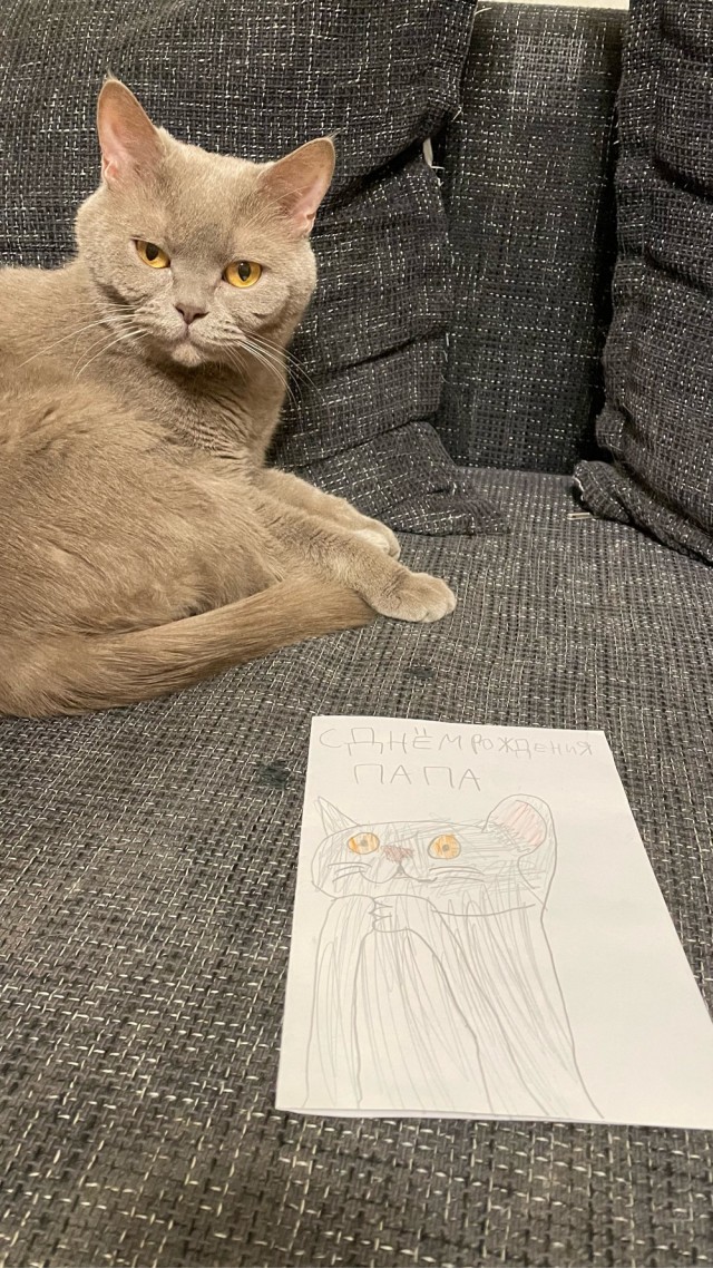 Начинаем котовторник.