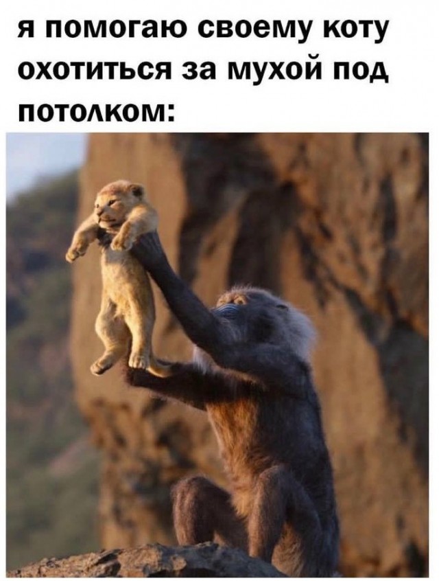 Всего понемногу. От 06.05