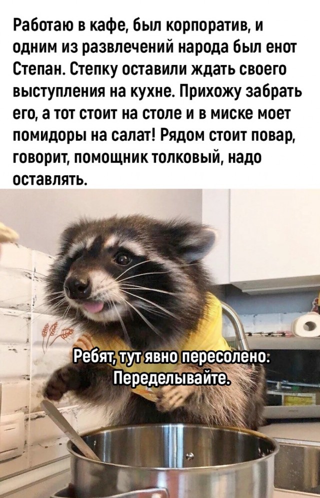 Так себе картинки 30.06.23