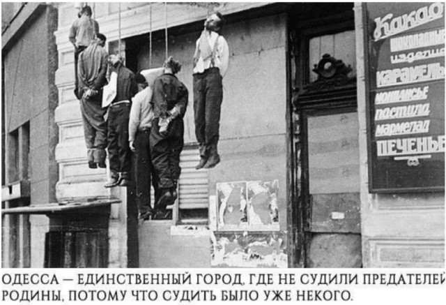 В Краснодаре задержан активист за наклеку на авто  - «Прав тот, кто защищает свой дом».