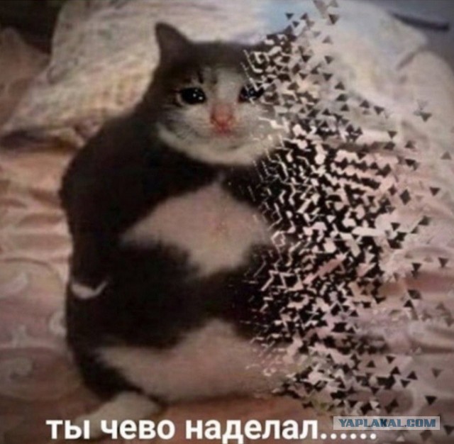 «Волчье время» — о том, как Германия пережила послевоенное десятилетие