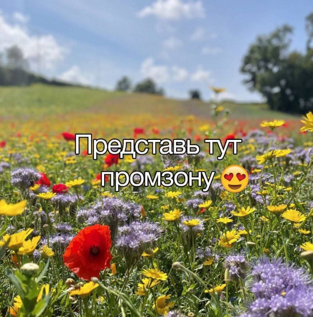 Всего понемногу. От 08.04.2024