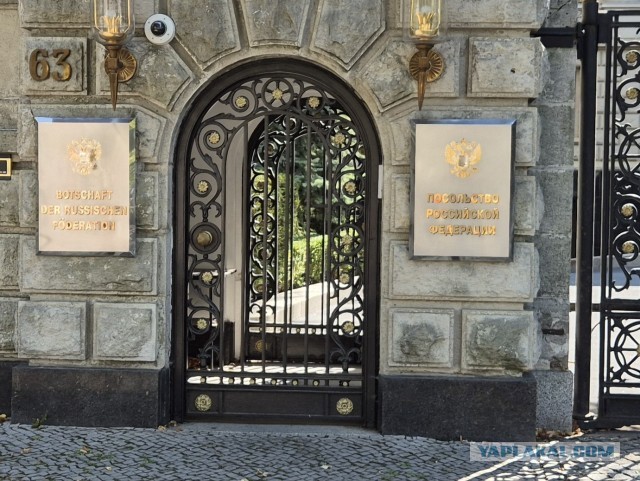 Захарова: тысячи жителей ряда стран НАТО приходят в посольства России за ВНЖ