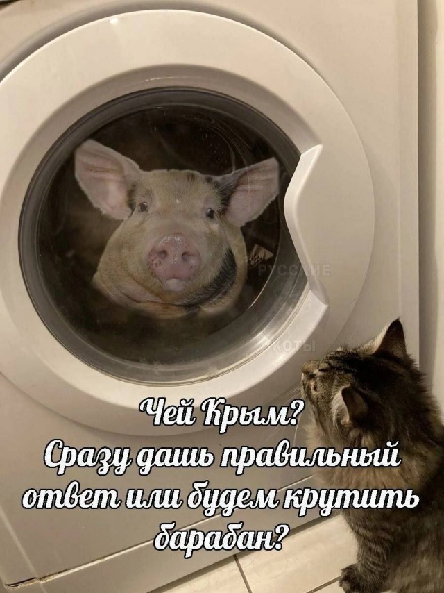 Где-то на просторах России