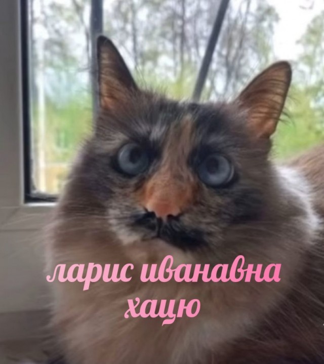 Гамарджоба