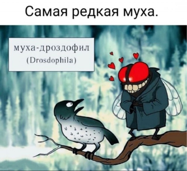 Веселое настроение в картинках (13.07.2025)
