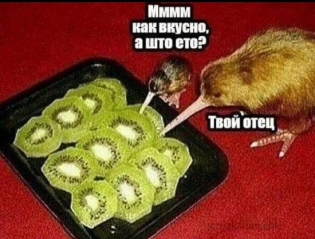 Воскресенье, а значит