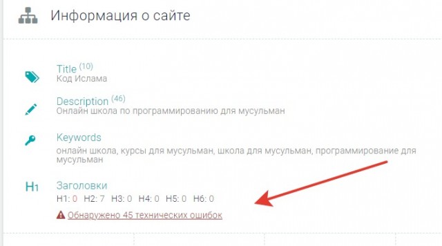 Курсы IT халяль