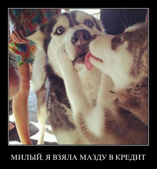 Картинки для деградации 117 (разной степени свежести)