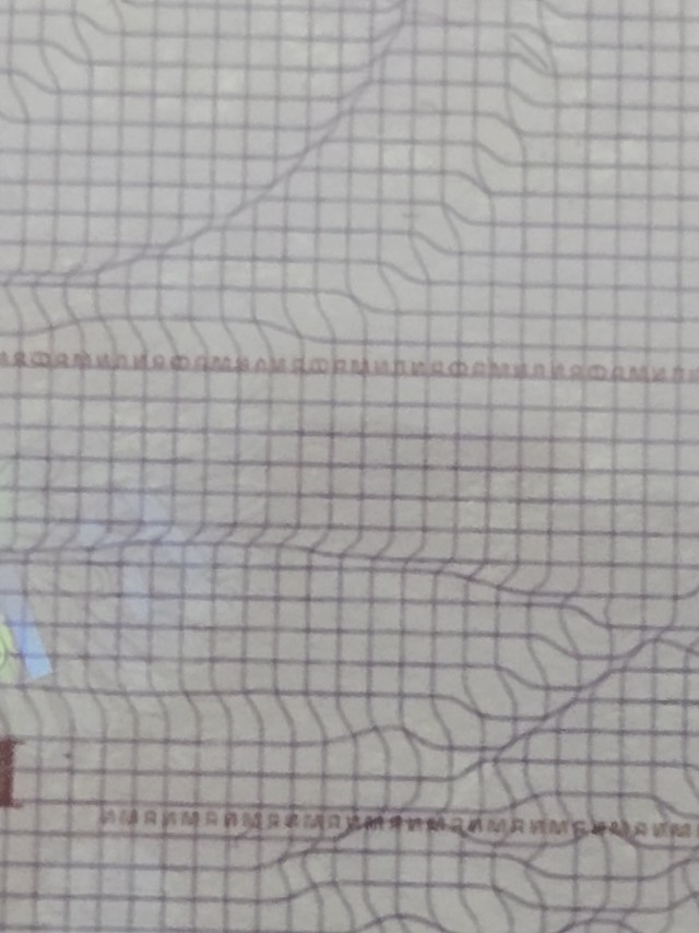 Чел случайно раскрыл секрет российского паспорта камерой смартфона