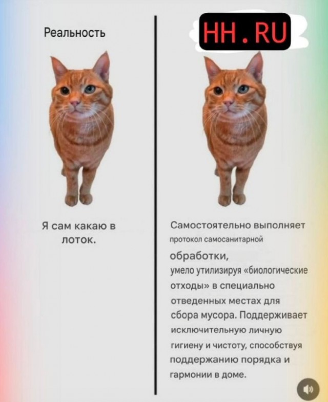 Среды картинки