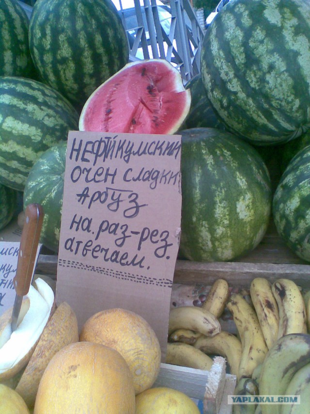 Не оскудеет земля идиотами