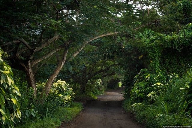 Сент-Китс и Невис - новая родина за 300 000 $