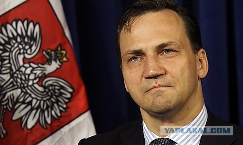 «Мы отсасываем у американцев, как последние фраера