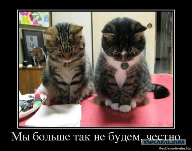 Весёлые картинки