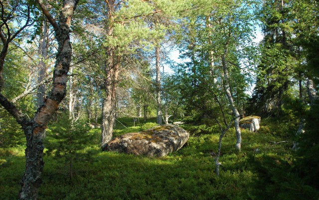 Деревенская Америка