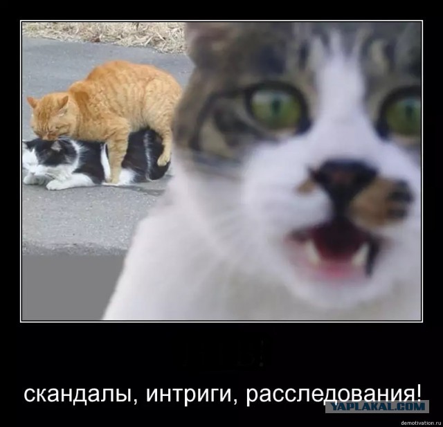 В доме попахивает адским скандалом. Нужно опознать целое по его части.
