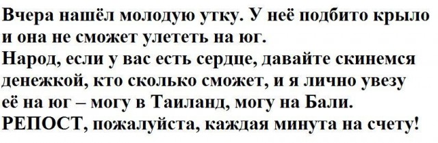 Картинки из мусорной корзинки 2