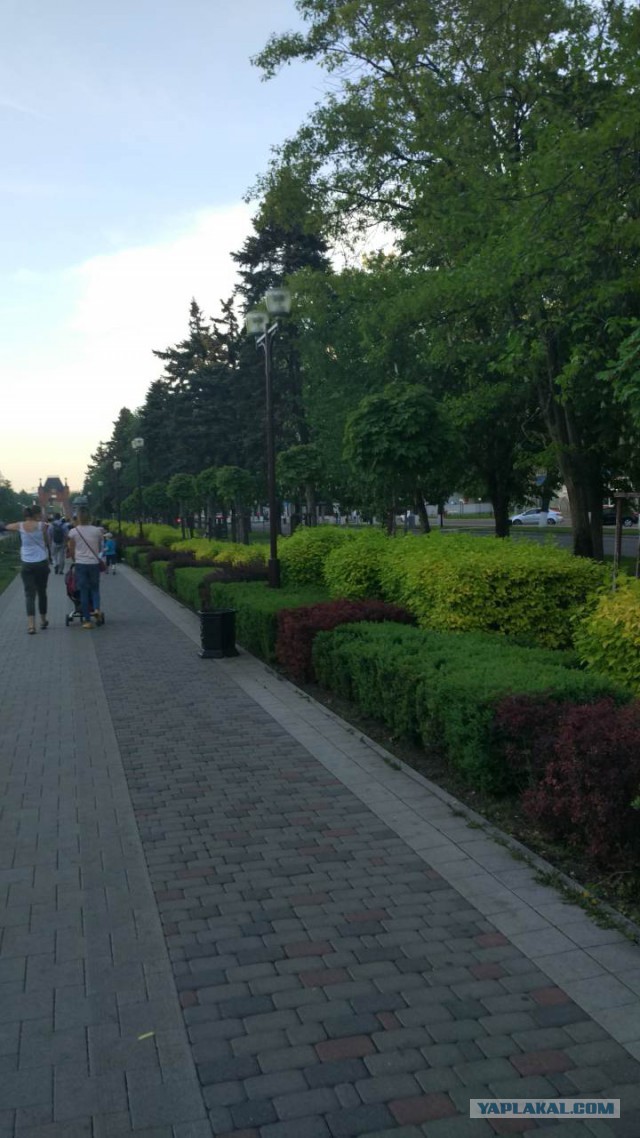 Мир, труд, май! на улице -2, еще час назад была зеленая трава и ясное небо! Сибирь!