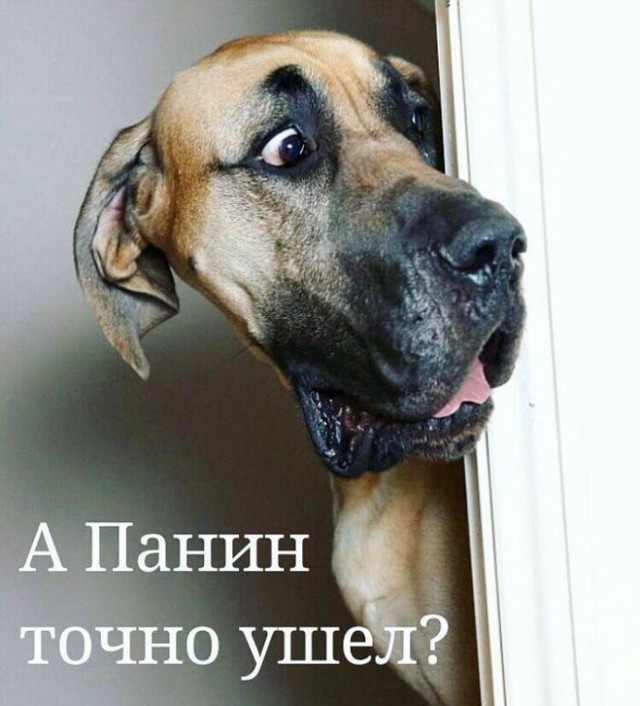 Панин гуляет в женском нижнем белье и мастурбирует, 21+