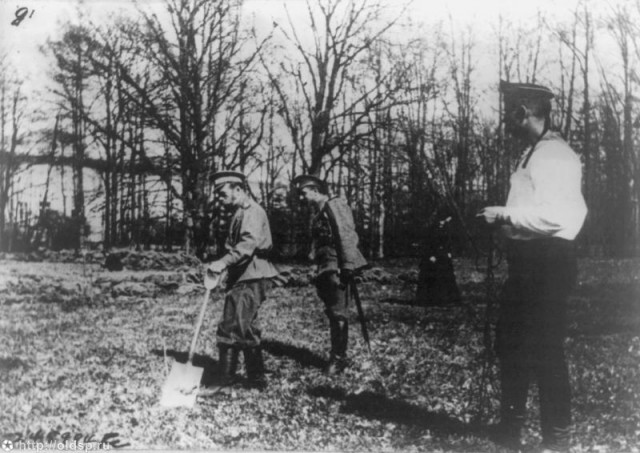 Ключевые даты 1917 года в дневниках Николая II
