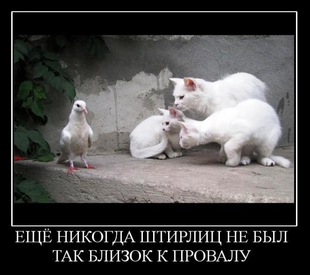 Сижу я сейчас на работе, и...