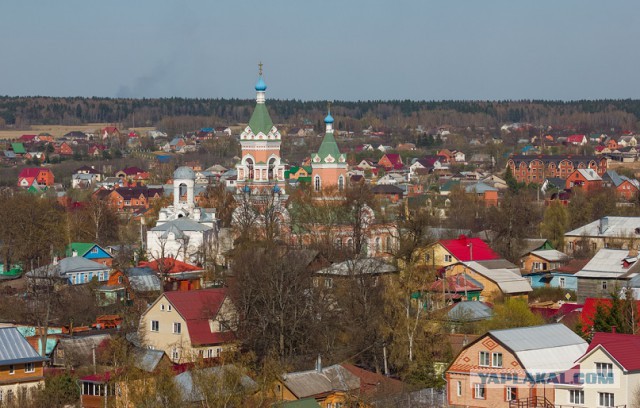 Кошелев проект