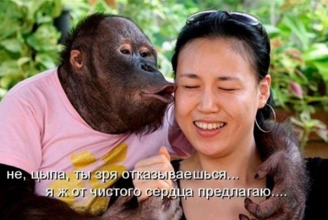 Подборка позитивных фото