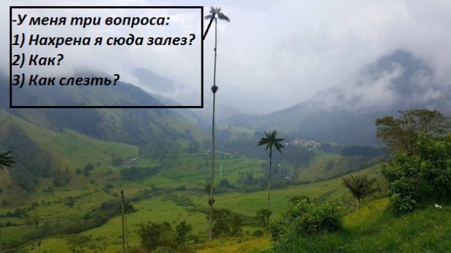 Точно уверены, что видели всё?