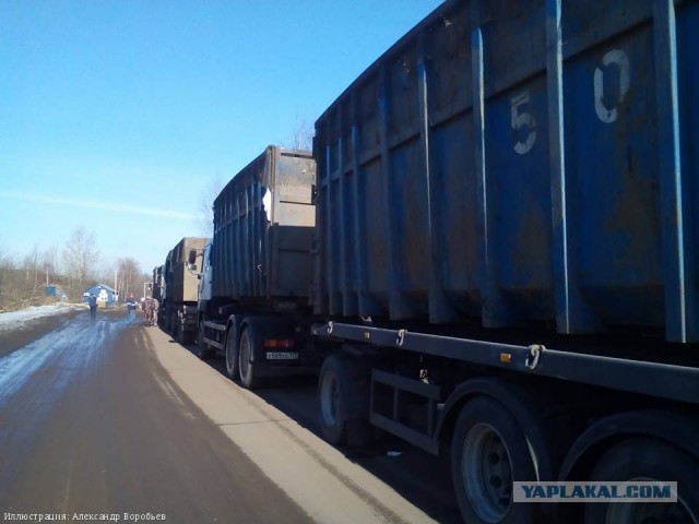 Вполне ожидаемые последствия закрытия полигонов ТБО в Подмосковье