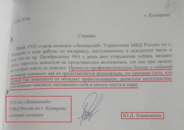 Картинки по-приколу