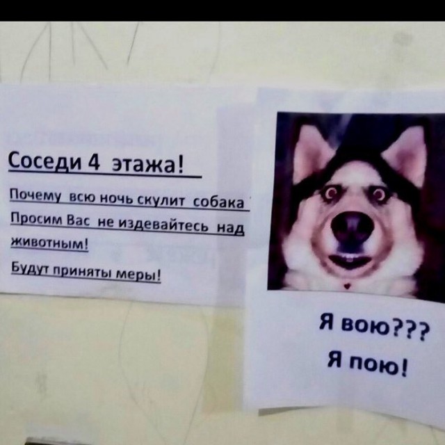 Песнь