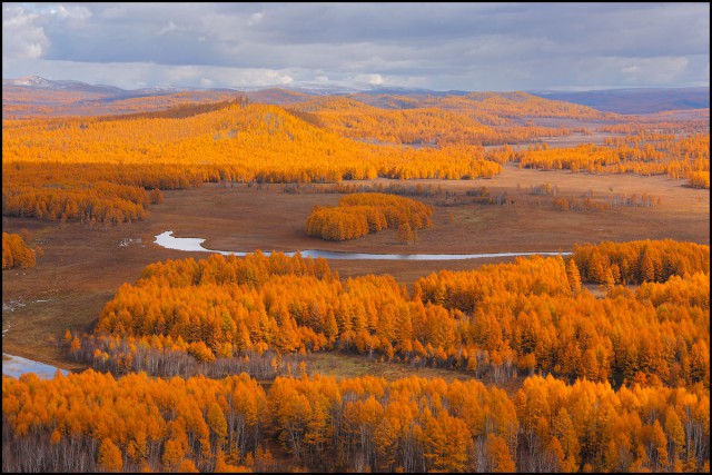 Осенняя тайга