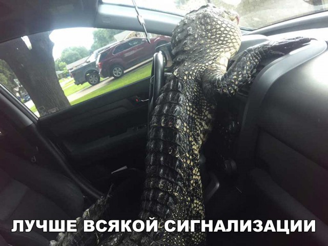 Прикольные картинки абавсём