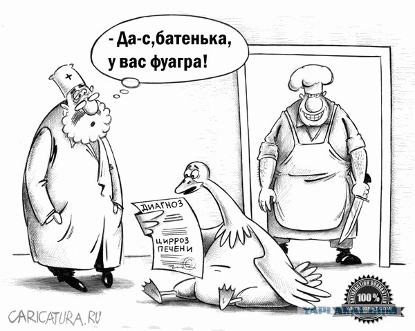 Пьяница гусак - горе в семье