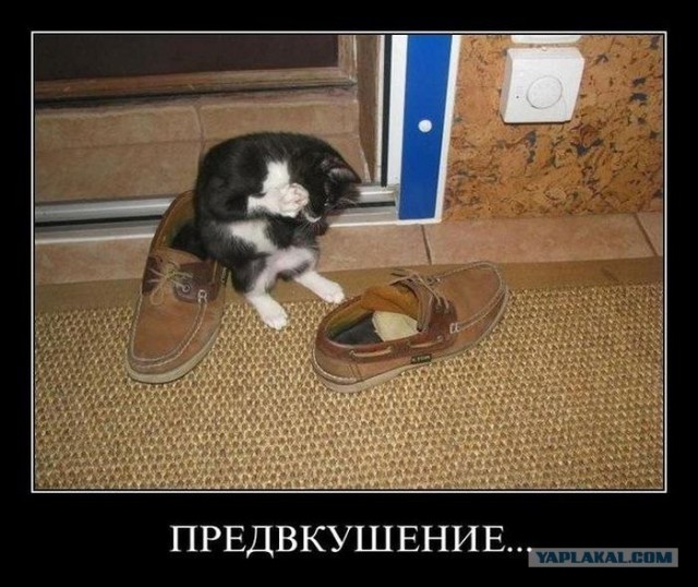 - Хозяин, сука, ты же обещал оставить...