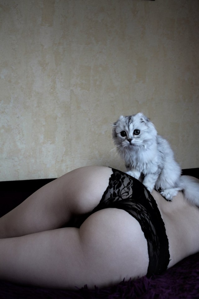Красивые девушки с котиками
