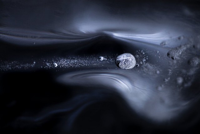 Лучше работы макросъемки Close-Up Photography Awards-2020