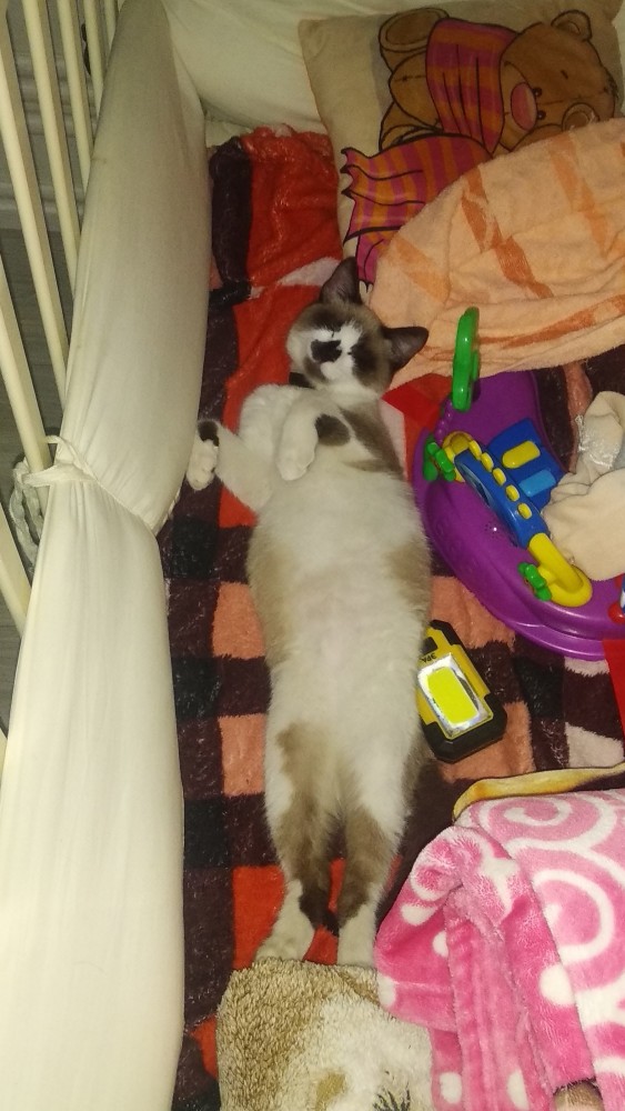 Некоторые виды маленькости