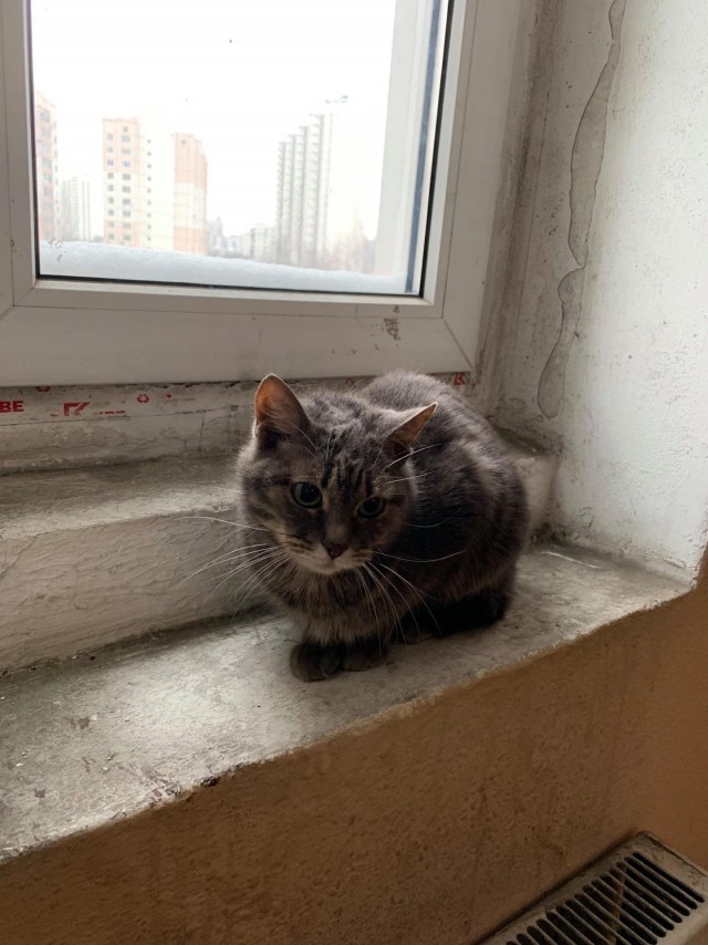 Подборка забавной живности